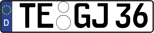 TE-GJ36