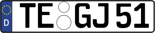 TE-GJ51