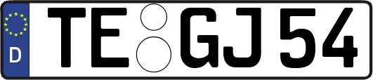 TE-GJ54