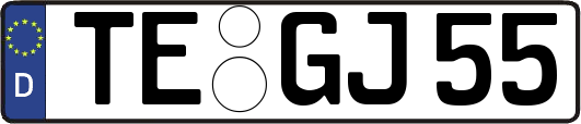TE-GJ55