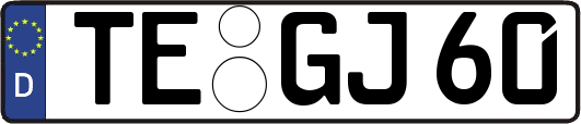 TE-GJ60