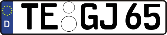 TE-GJ65