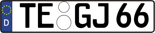 TE-GJ66