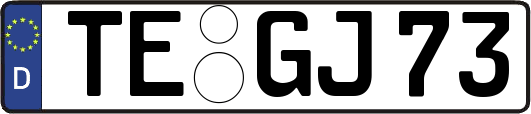 TE-GJ73