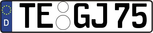 TE-GJ75