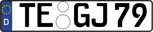 TE-GJ79