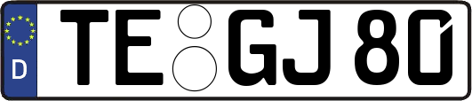 TE-GJ80