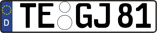 TE-GJ81