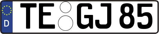 TE-GJ85