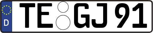 TE-GJ91