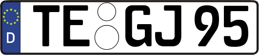 TE-GJ95