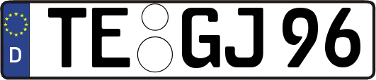 TE-GJ96
