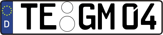 TE-GM04