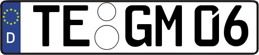 TE-GM06