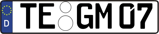 TE-GM07