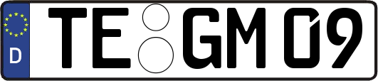 TE-GM09