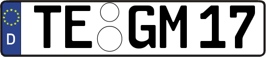 TE-GM17
