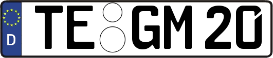 TE-GM20