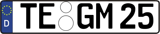 TE-GM25