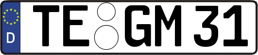 TE-GM31