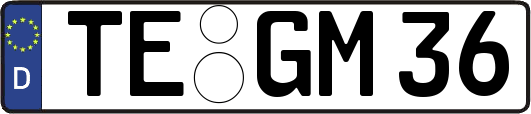 TE-GM36