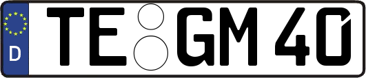 TE-GM40