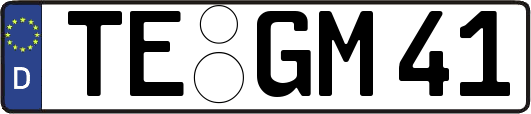 TE-GM41