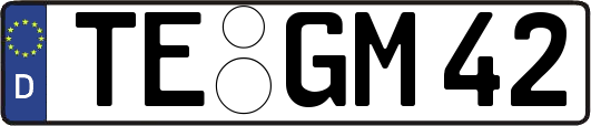 TE-GM42