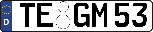 TE-GM53