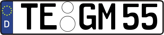 TE-GM55