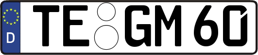 TE-GM60