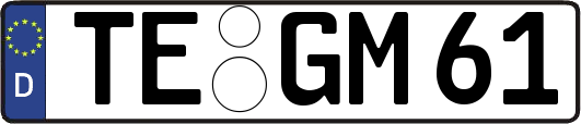 TE-GM61