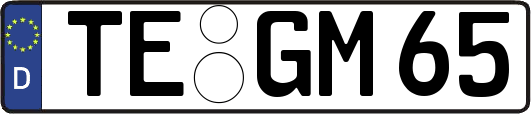 TE-GM65