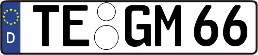 TE-GM66