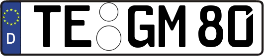 TE-GM80