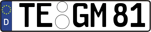 TE-GM81