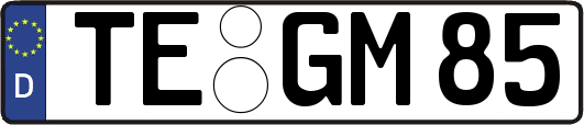 TE-GM85