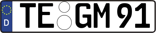 TE-GM91