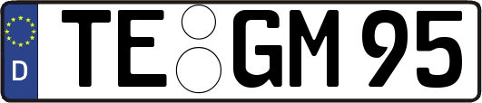 TE-GM95