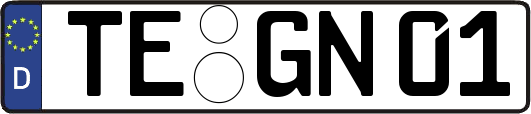 TE-GN01