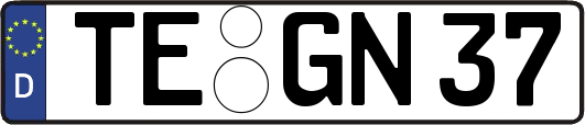 TE-GN37