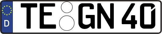 TE-GN40