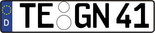 TE-GN41