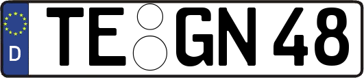 TE-GN48