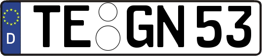 TE-GN53