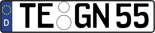 TE-GN55