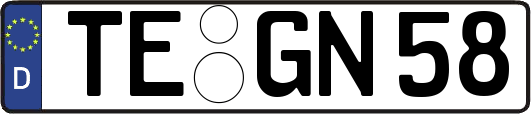 TE-GN58