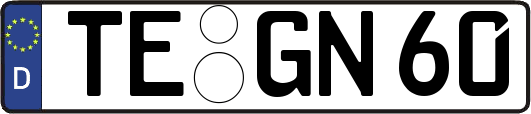 TE-GN60