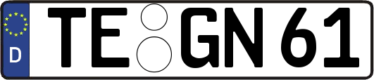 TE-GN61