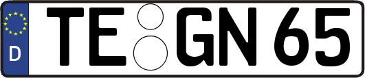 TE-GN65